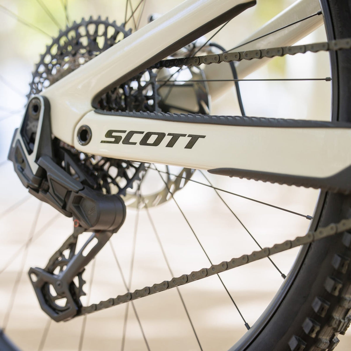 Scott Ransom 900 RC 2025 Gris #2