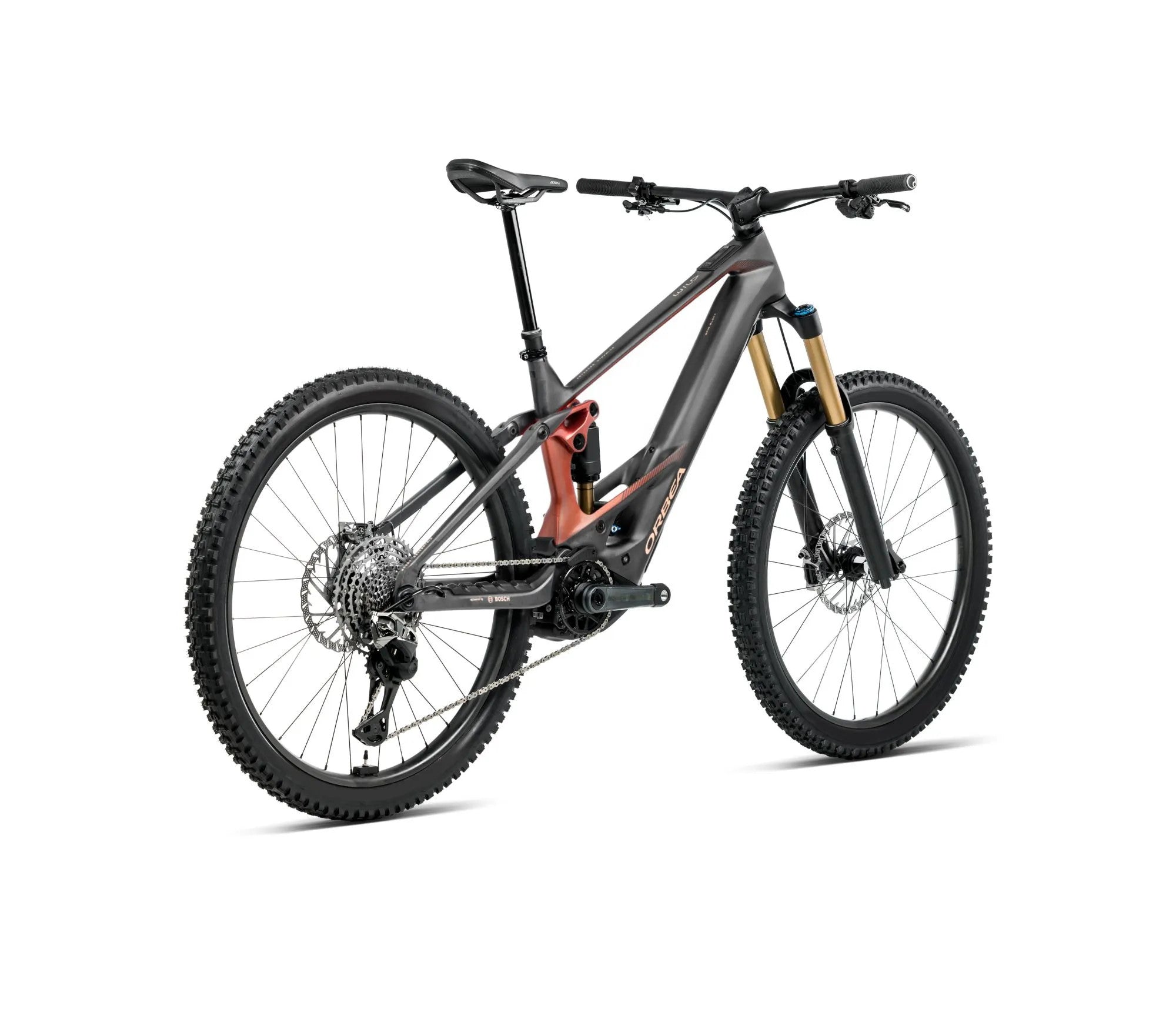 T348TTCC-X1-BACK-WILD_MLTD