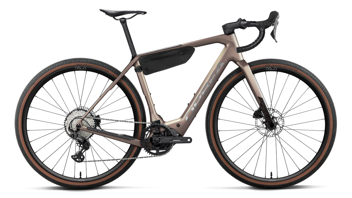 Orbea Denna M20 2027 Nickel Matt/Carbon Raw Gloss